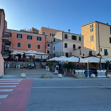 L'alveare Blu *